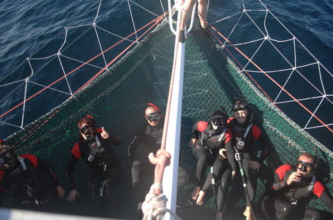 Dolphin Swim Australia - Your Accommodation 4