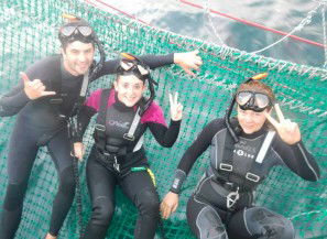 Dolphin Swim Australia - Your Accommodation 7