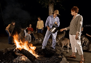 Cairns Night Zoo - Your Accommodation