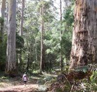 Warren River Loop Walk - Your Accommodation