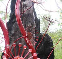 Understory Art In Nature - Your Accommodation