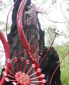 Understory Art In Nature - Your Accommodation 0