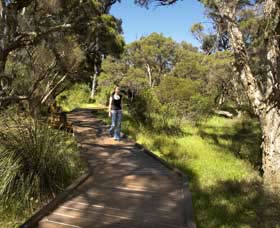 Leschenault Peninsula Conservation Park - Your Accommodation 0