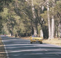 Ludlow Tuart Forest - Your Accommodation