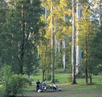 Big Brook Arboretum - Your Accommodation