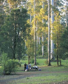 Big Brook Arboretum - Your Accommodation 0