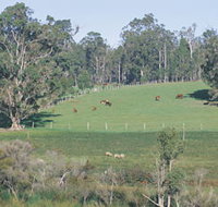 Scenic Drives - Bunbury Collie Donnybrook - Your Accommodation