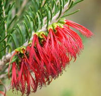 Ethel Daw Scenic Drive - Your Accommodation