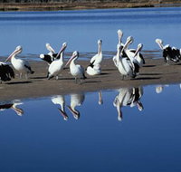 Peel Region Canoe Trails - Your Accommodation