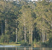 Big Brook Dam - Your Accommodation