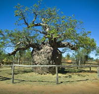 Pigeon Heritage Trail - Your Accommodation