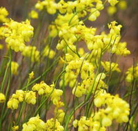 Mount Madden Scenic Drive - Your Accommodation