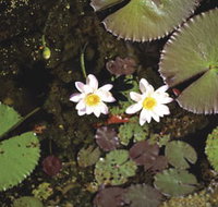 Parry Lagoons Nature Reserve - Your Accommodation