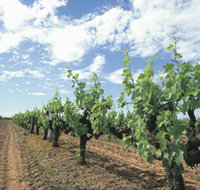 Blackwood Meadery - Your Accommodation