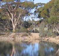 Merredin Railway Dam - Your Accommodation