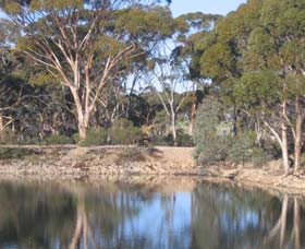 Merredin Railway Dam - Your Accommodation 0