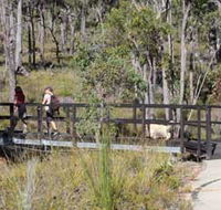 Forest Path Crooked Brook - Your Accommodation