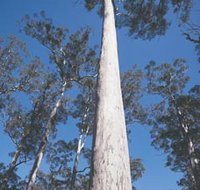 The Four Aces - Your Accommodation