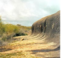 Totadgin Dam Reserve - Your Accommodation
