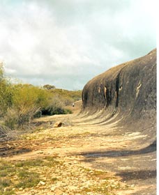 Totadgin Dam Reserve - Your Accommodation 0