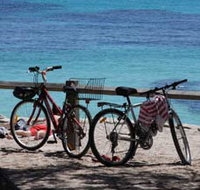 Parker Point Marine Snorkel Trail - Your Accommodation