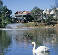 White Swans - Your Accommodation