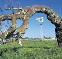 Greenough Leaning Trees - Your Accommodation