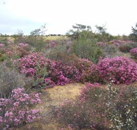 Reynoldson's Flora Reserve - Your Accommodation