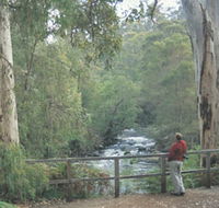 Cascades - Your Accommodation