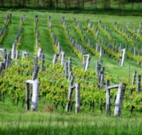 Sienna Estate Winery - Your Accommodation