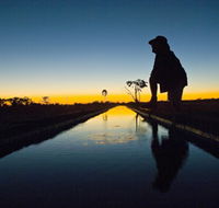 Myalls Bore - Your Accommodation