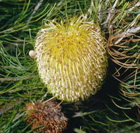 FR Berry Reserve - Your Accommodation