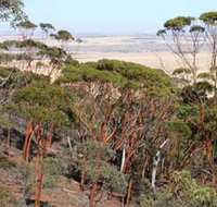 Mount Matilda Walk Trail Wongan Hills - Your Accommodation