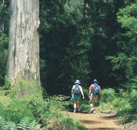 Gloucester Tree - Your Accommodation