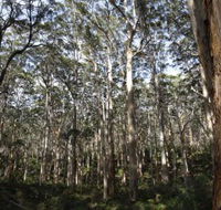 Boranup Karri Forest - Your Accommodation