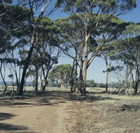 Lake Dumbleyung - Your Accommodation