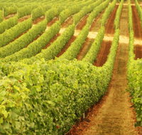 Happs Wines - Your Accommodation