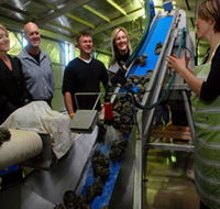 Eyre Peninsula's Seafood Trail - Your Accommodation