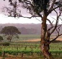 Yangarra Estate Vineyard - Your Accommodation