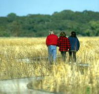 Onkaparinga River Recreation Park - Your Accommodation