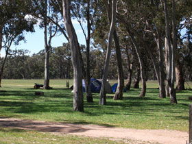 Wild Dog Valley SA Your Accommodation