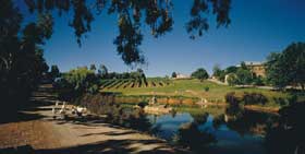 Mount Hurtle Winery Home Of Geoff Merrill Wines - Your Accommodation 0