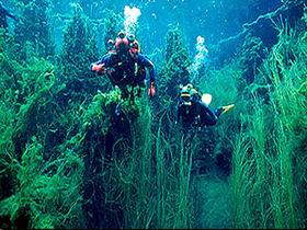 Glencoe West SA Your Accommodation