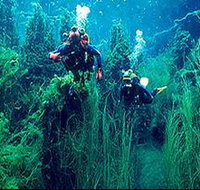 Ewens Ponds Conservation Park - Your Accommodation