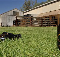 Wilkadene Woolshed Brewery - Your Accommodation