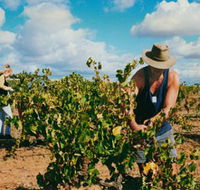 Torbreck Vintners - Your Accommodation