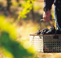 Burge Family Winemakers - Your Accommodation