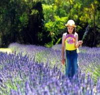 Brayfield Park Lavender Farm - Your Accommodation