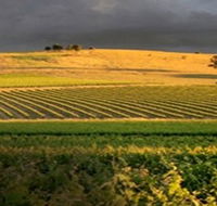 Kellermeister Wines - Your Accommodation