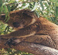 Mikkira Station - Your Accommodation